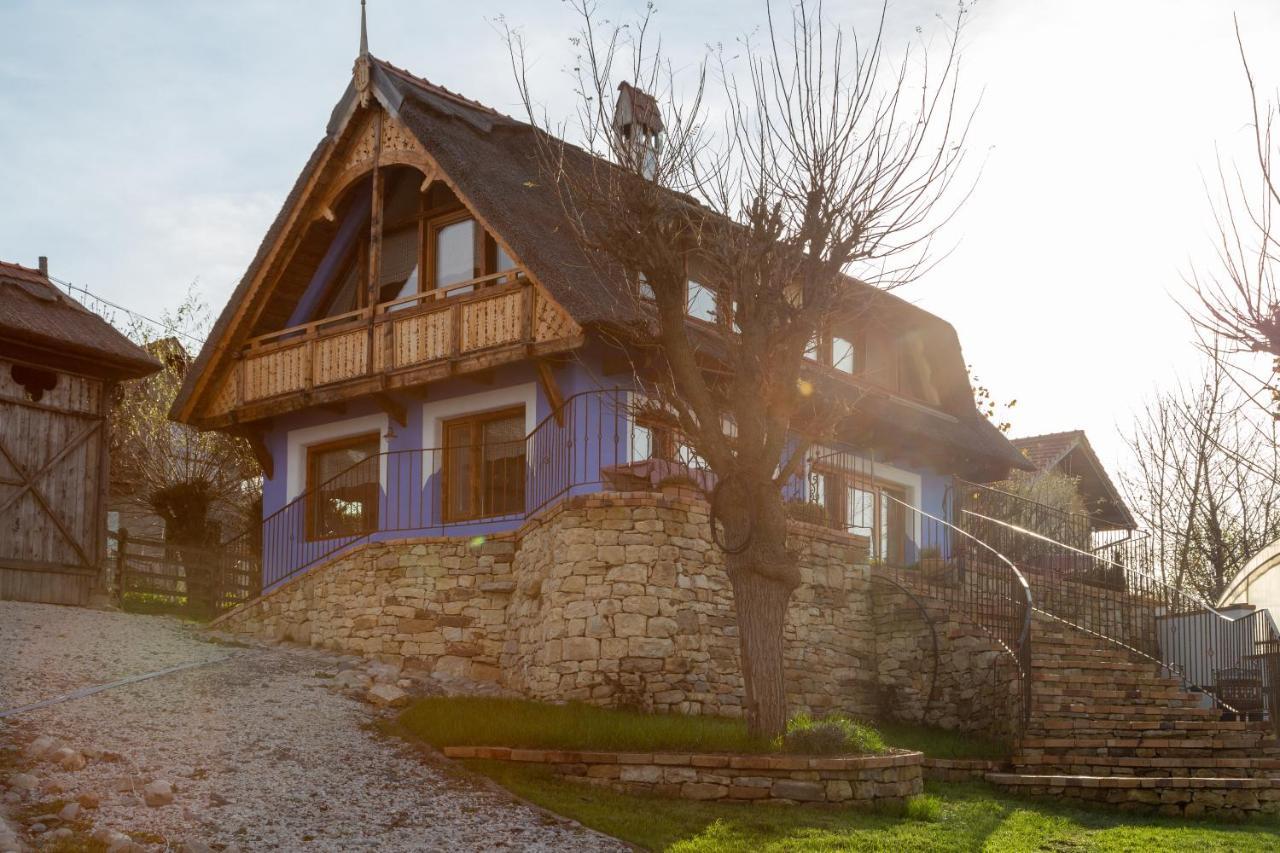 Casele Cu Stuf B&B Haus Ulrike Salicea Exterior photo