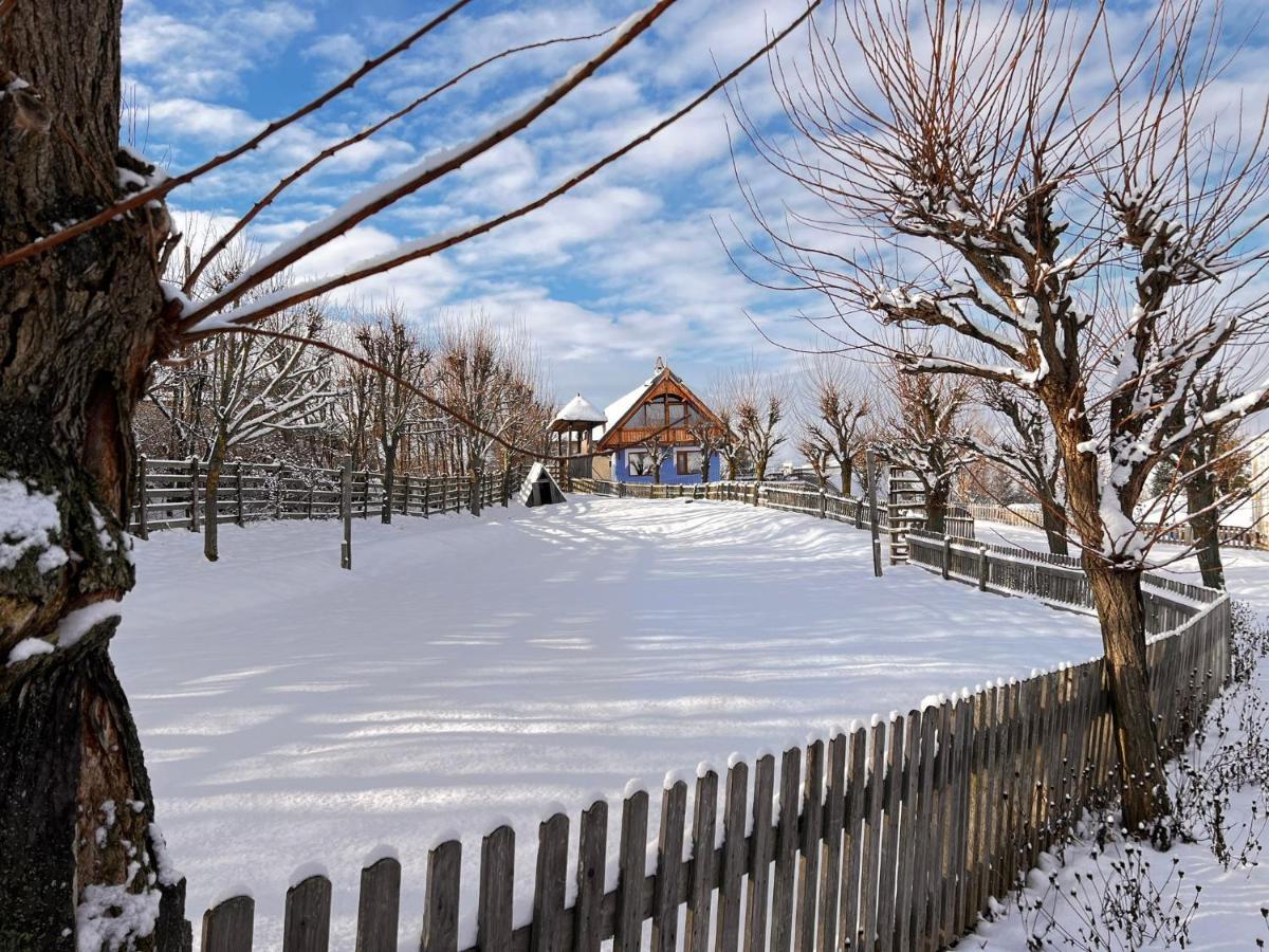 Casele Cu Stuf B&B Haus Ulrike Salicea Exterior photo