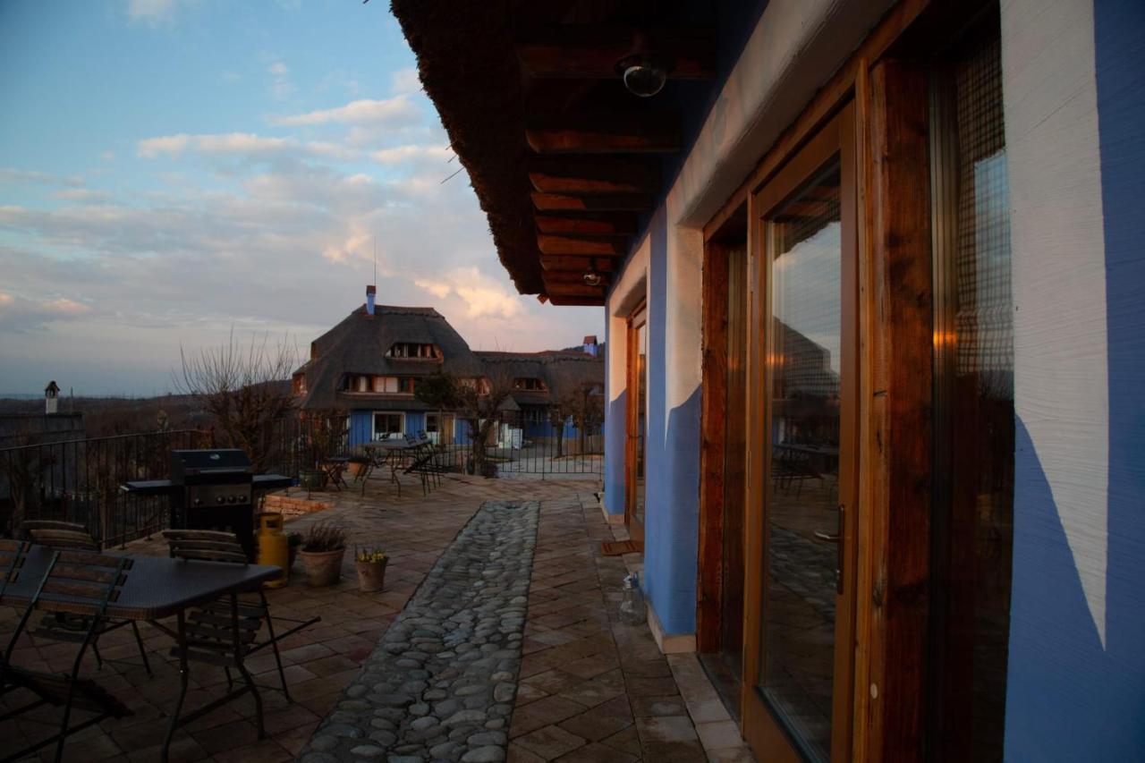 Casele Cu Stuf B&B Haus Ulrike Salicea Exterior photo